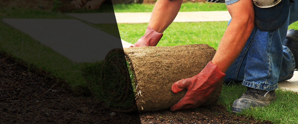 Toms River Landscapers